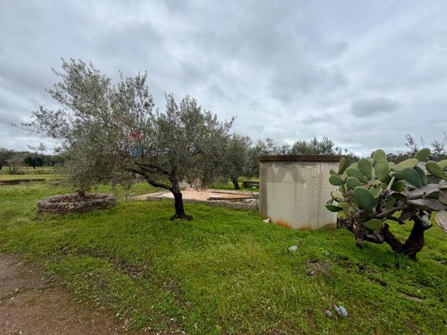 Terreno in vendita a Chiaramonte Gulfi - Foto 9