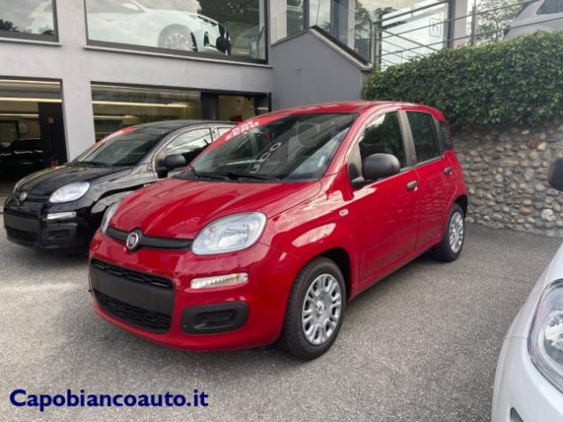 FIAT Panda 1.0 FireFly S&S Hybrid POP KM0 PROMO rif. 24099397