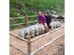 Pensione Hohenegg