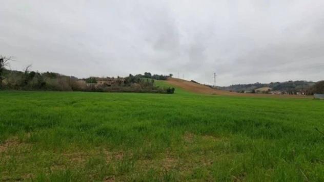 Immobile in asta di 249058 m² in vendita a Senigallia - Foto 8