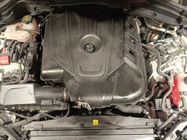 Alfa Romeo Stelvio Stelvio 2.2 Turbodiesel 160 CV AT8 RWD Business - Foto 10