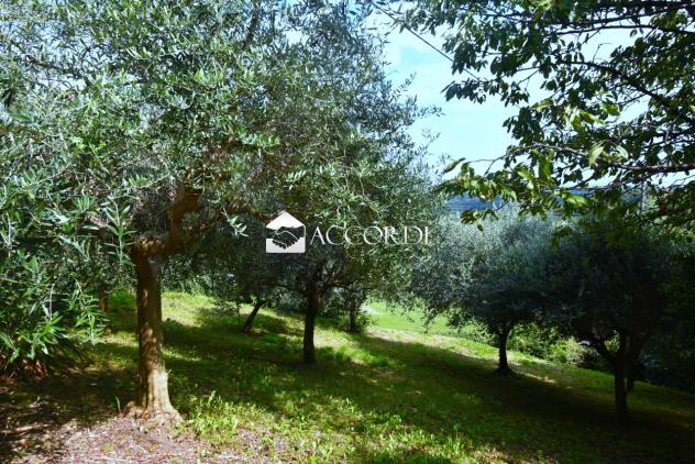 Lotto di terreno a Conegliano in zona collinare con casa indipendente - Foto 3