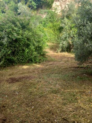 Uliveto in vendita a Morlupo - Foto 3