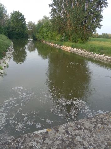 Ragazzo con patente cerca qualsiasi lavoro!!