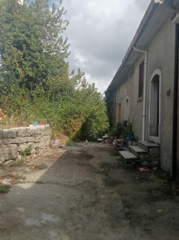 AMPIO TERRENO DI 8.000 MQ CON CASOLARE DA RISTRUTTURARE - Foto 7