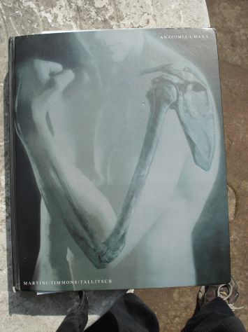 VOLUME DI ANATOMIA UMANA EDITORE EDISES, SCRITTO DA MARTINI,TIMMONS,TALLITSCH - Foto 7