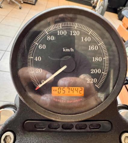 HARLEY-DAVIDSON 883 Iron - finanziabile e garantibile - Foto 8