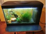 Acquario Amtra 55 litri completo