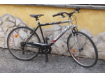 Bicicletta 28 CARNIELLI - City Bike