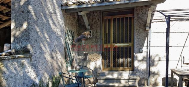 Porano - Vendesi casaletto con 4100 mq di terreno, nella tranquilla campagna a pochi minuti da Orvieto. - Foto 7
