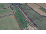 terreno agricolo