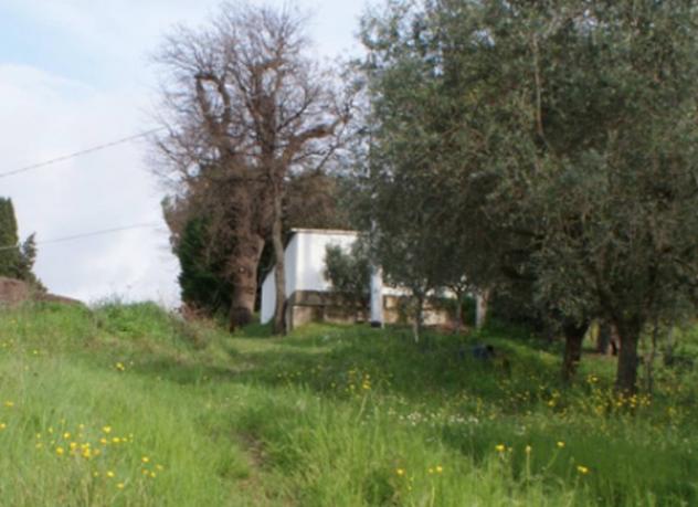 Immobile in asta di 65 m² in vendita a Loro Piceno - Foto 4