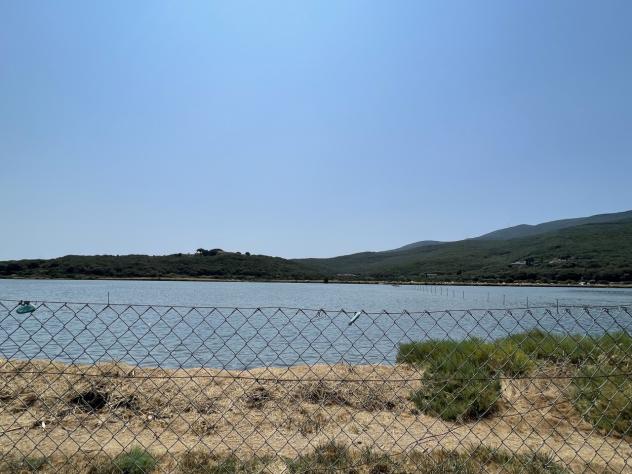 Seminativo in vendita a Orbetello - Foto 6