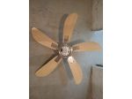 VENTILATORE A SOFFITTO + LAMPADARIO