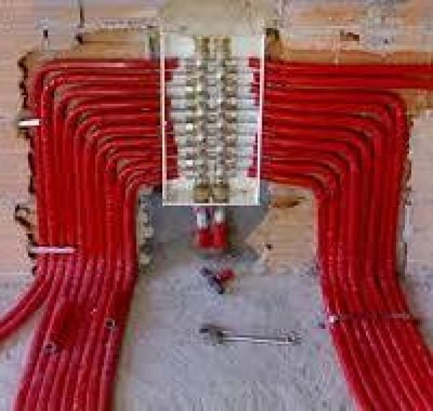 Entech - Foto 2