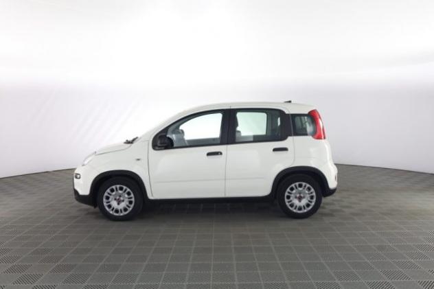 FIAT Panda Panda 1.0 FireFly S&S Hybrid rif. 23697070 - Foto 7