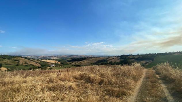 Terreno Agricolo - Roseto degli Abruzzi . Rif.: Cod. rif A132VCG - Foto 7