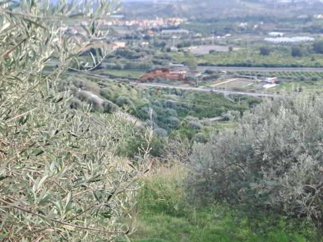 Terreno in vendita a Calatabiano - Foto 6