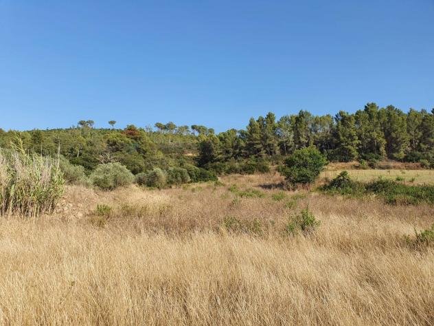 Terreno in vendita a Caltagirone, Santo Pietro - Foto 8