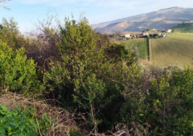 Immobile in asta di 16610 m² in vendita a Fermo - Foto 4
