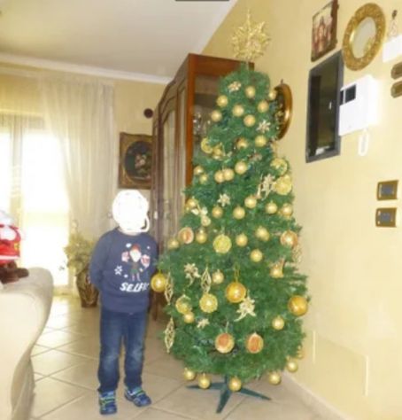 Albero di Natale completo di addobbi