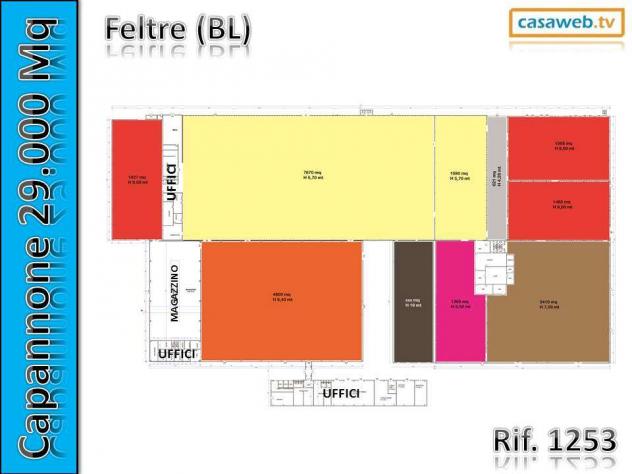 1253 - Capannone a Borgo Valbelluna