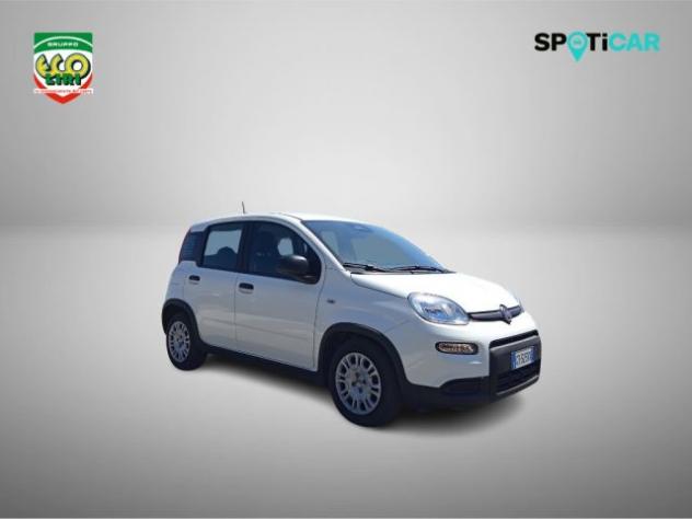 FIAT Panda 1.0 FireFly S&S Hybrid rif. 23820569 - Foto 3