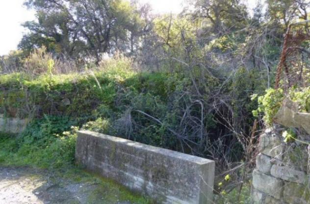 Immobile in asta di 6430 m² in vendita a Casignana - Foto 18