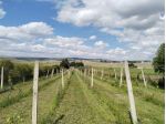V000804 - Terreno Agricolo