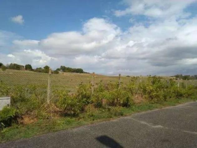 Immobile in asta di 281311 m² in vendita a Guidonia Montecelio - Foto 16