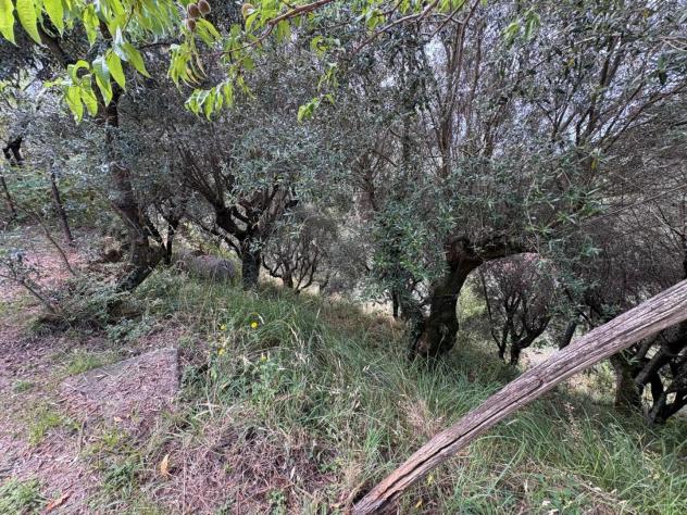 Rustico in vendita a Serra - Montignoso 140 mq Rif: 1338461 - Foto 5