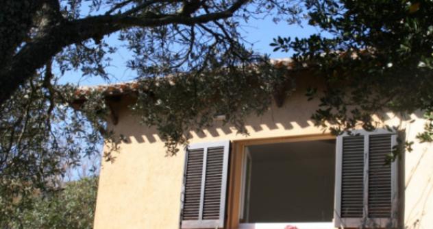 Immobile in asta di 320 m² in vendita a Santa Teresa Gallura - Foto 10