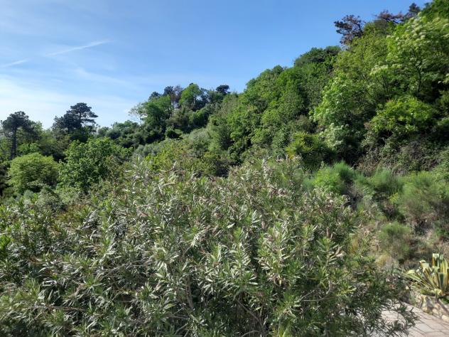 Villa in vendita a Sarzana - Foto 14