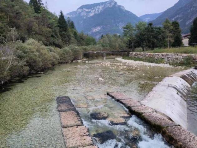 Immobile in asta di 1000 m² in vendita a Valdastico - Foto 16
