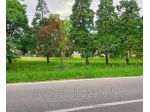 IMMOBILI-ALTRA CATEGORIA-Strada Provinciale Viadana