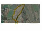 Pollutri vendesi terreno agricolo 57000 Mq