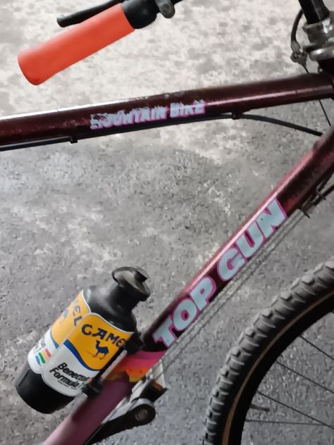 bicicletta - Foto 2