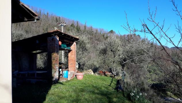 Colonica in vendita a Capannori 370 mq Rif: 879328