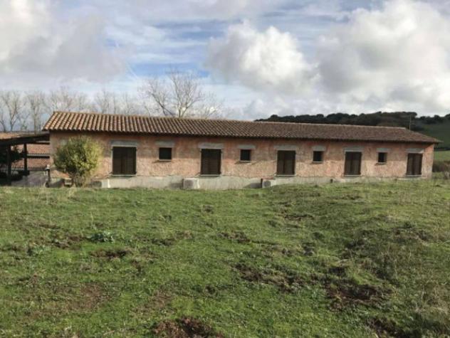 Immobile in asta di 1700 m² in vendita a Nulvi - Foto 3