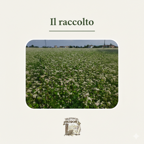 Addetto alla produzione - Foto 4