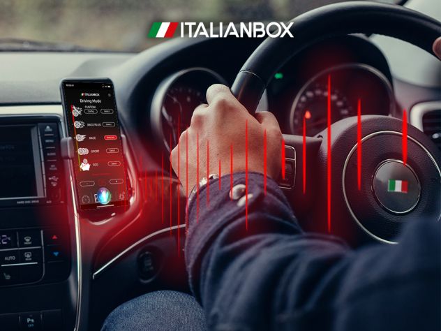 Centraline aggiuntive riprogrammabile su qualsiasi auto diesel, the Italian box! - Foto 4