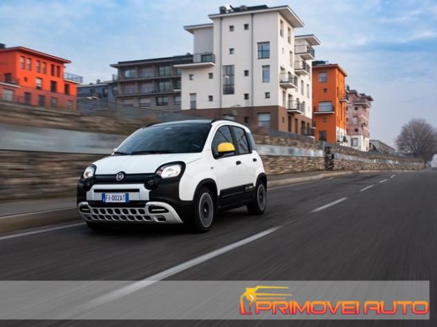 FIAT Pandina 1.0 FireFly 65 CV Hybrid Pop rif. 23219319 - Foto 6