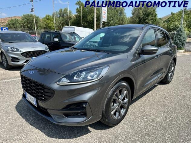 FORD Kuga 1.5 EcoBlue 120 CV 2WD ST-Line rif. 23904154