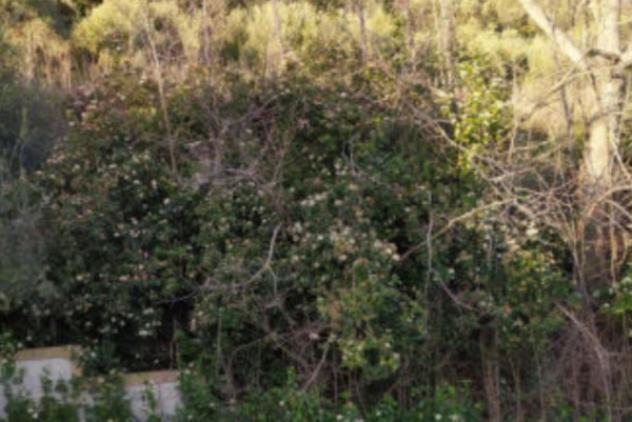 Immobile in asta di 16610 m² in vendita a Fermo - Foto 8