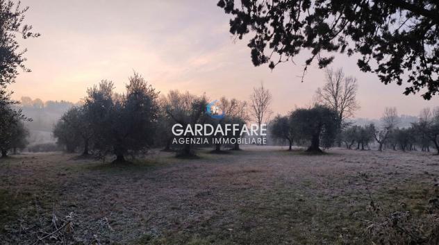 TERRENO AGRICOLO A MANERBA DEL GARDA - Foto 2