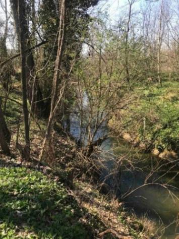 Immobile in asta di 18050 m² in vendita a Poggibonsi - Foto 4