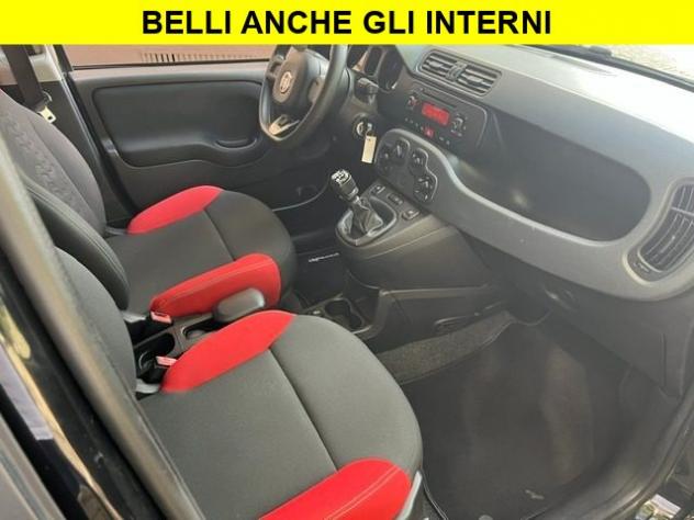 FIAT Panda 1.2 Benzina Neopatentati Euro6 rif. 24145035 - Foto 5