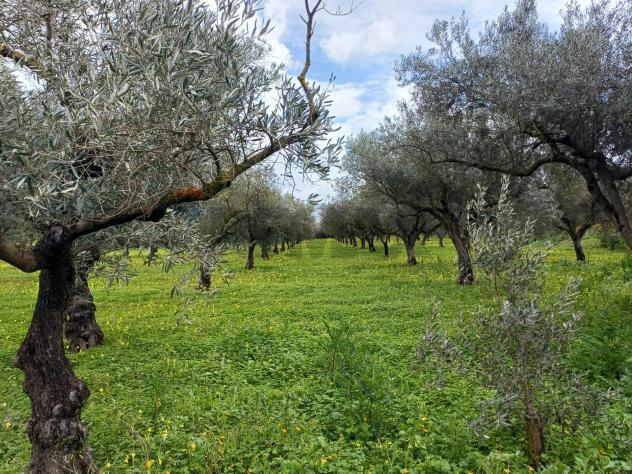 Villa singola in vendita a Chiaramonte Gulfi - Foto 2