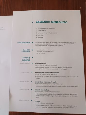 Cerco lavoro