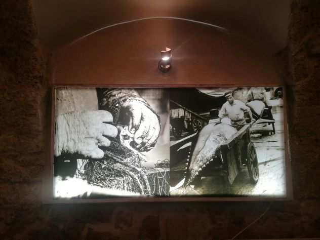 Cessione Attività Riservata - Osteria Mandras Lentas Centro Storico di Alghero - Foto 3